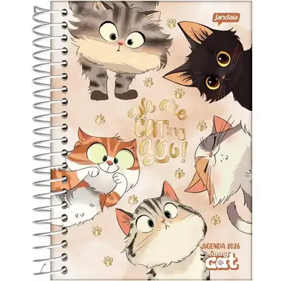 Atacado Jandaia - Papelaria, Materiais de Escritório e Informática